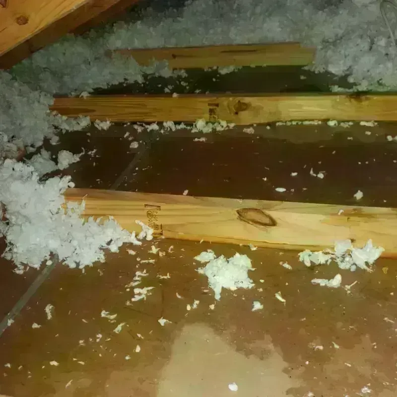 Attic Water Damage in Alderson, WV